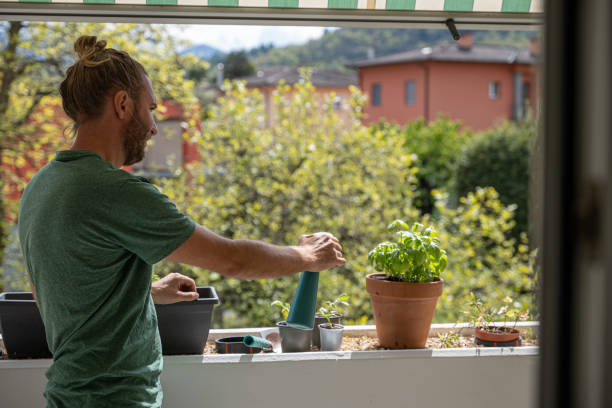 istock One man watering new seedling in pots 1314530133