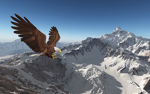 Computer generated 3D illustration with a sea eagle over a snow-covered mountain landscape