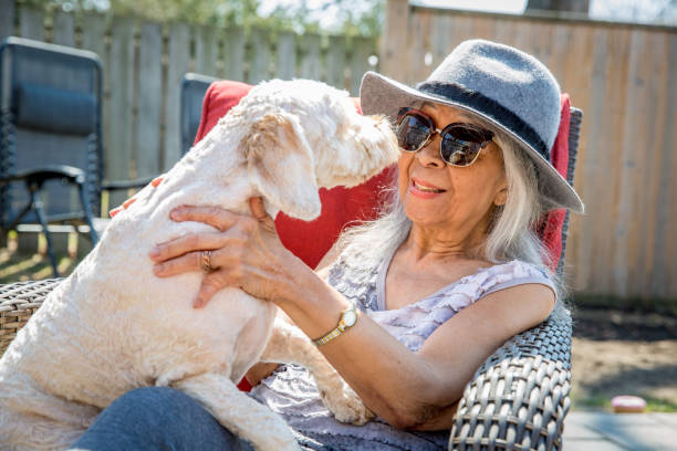 istock Elderly senior woman and a dog 1314539046