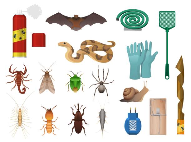 illustrazioni stock, clip art, cartoni animati e icone di tendenza di set di icone di controllo di parassiti e insetti agricoli - lepisma
