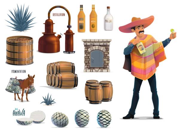 Tequila production, Mexican traditional drink Tequila making, Mexican agave alcohol drink production, vector equipment icons. Tequila traditional handmade factory process and making tools, thona oven and agaumiel mill, mule and agave pina cones mexican mule stock illustrations