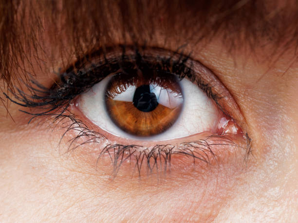 istock Brown Woman eye close up 1314542388