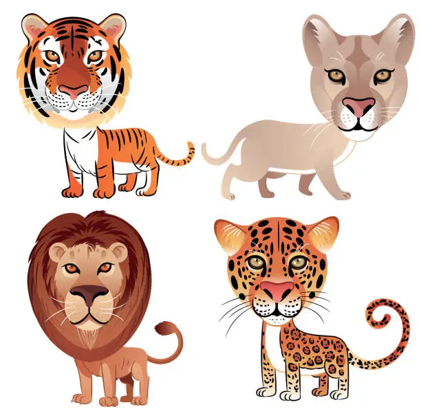 Vector illustration of Tiger, lion, Leopard and puma