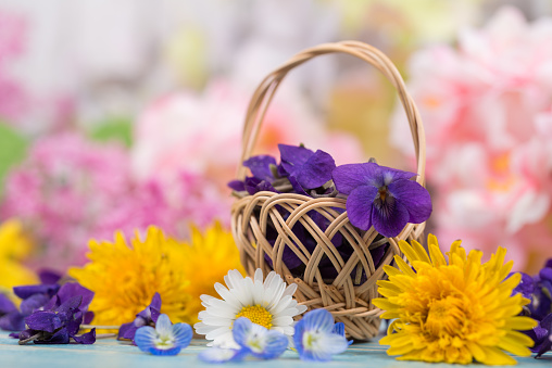 straw hat and basket with flowers stand on the grass, close-up.