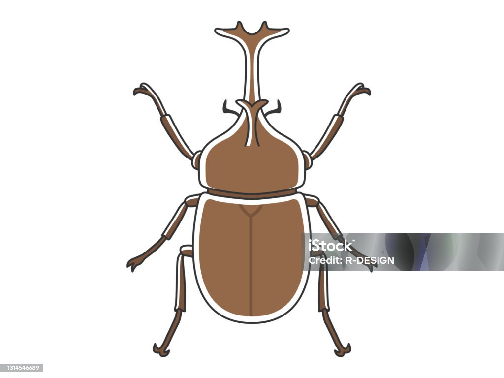 일본 딱정벌레의 일러스트 딱정벌레에 대한 스톡 벡터 아트 및 기타 이미지 - 딱정벌레, 장수풍뎅이, 일러스트레이션 - Istock