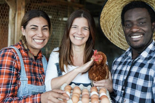 istock Multiracial people with chicken and fresh ecologic eggs - Multi generational farmer at work 1314547582