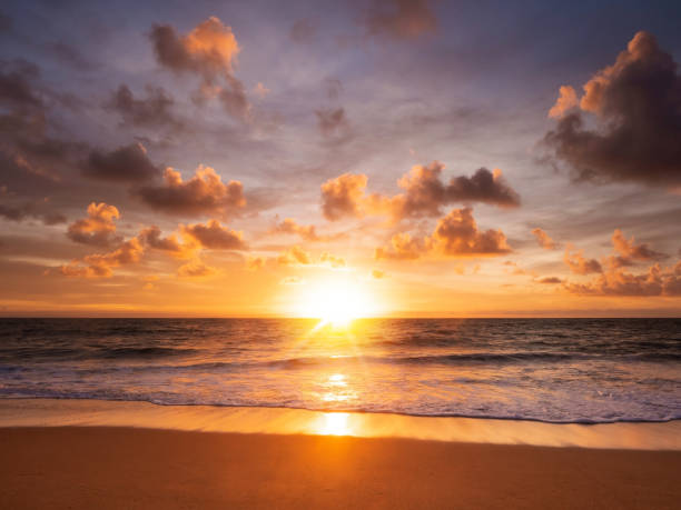 istock A beautiful sunset over the sea and reflection on the sand beach. 1314549252