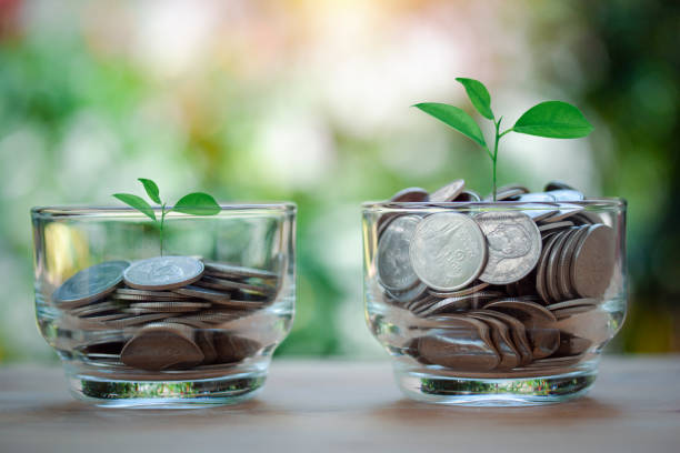 Two glass jars with a lot of coins and plant growing up, concept for saving money, home, loan, education for child isolated on light bokeh background. Two glass jars with a lot of coins and plant growing up, concept for saving money, home, loan, education for child isolated on light bokeh background. deposit bottle stock pictures, royalty-free photos & images