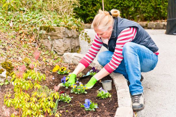 istock Woman planting spring flowers 1314551403
