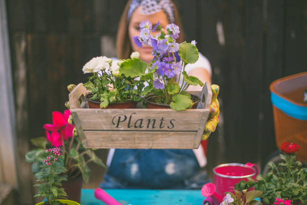 istock Woman gardening in the back yard 1314552762