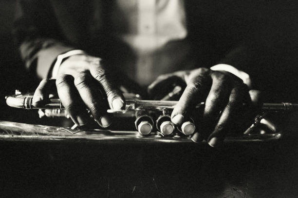 istock The hands of the musician 1314557810