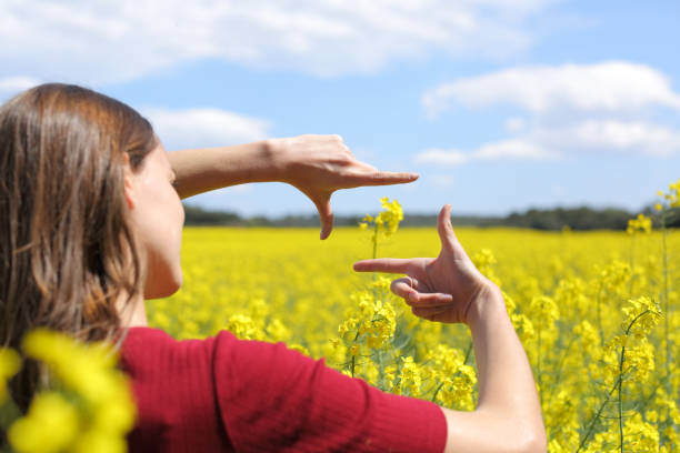 istock Woman hands framing in a yellow field 1314559161