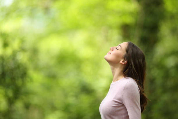 femme relaxed respirant l’air frais dans une forêt verte - exercice de respiration photos et images de collection