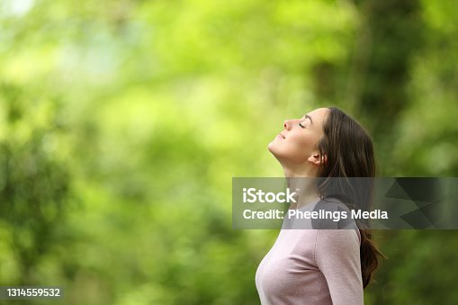 istock Relaxed woman breathing fresh air in a green forest 1314559532