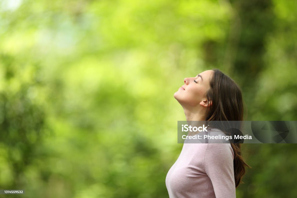 Relaxed woman breathing fresh air in a green forest Profile of a relaxed woman breathing fresh air in a green forest Women Stock Photo