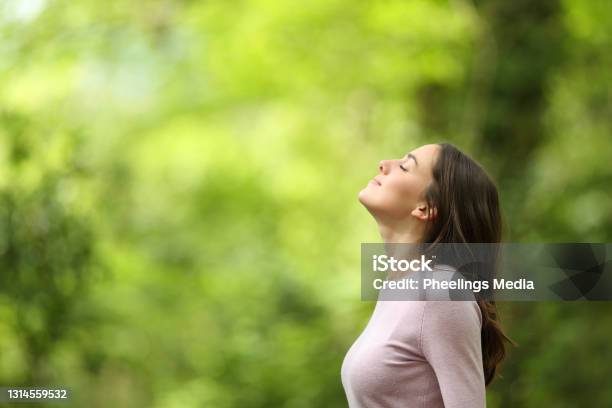 Relaxed Woman Breathing Fresh Air In A Green Forest Stock Photo - Download Image Now