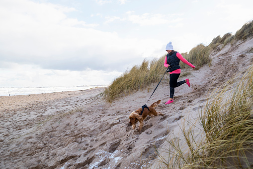 Woman running down a sand dune with her pet cocker spaniel dog in the North East of England.