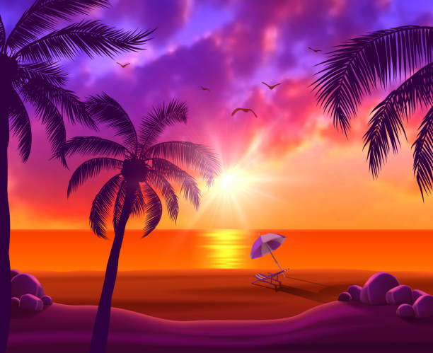 illustrazioni stock, clip art, cartoni animati e icone di tendenza di spiaggia tropicale al tramonto - hawaii islands beach landscape usa