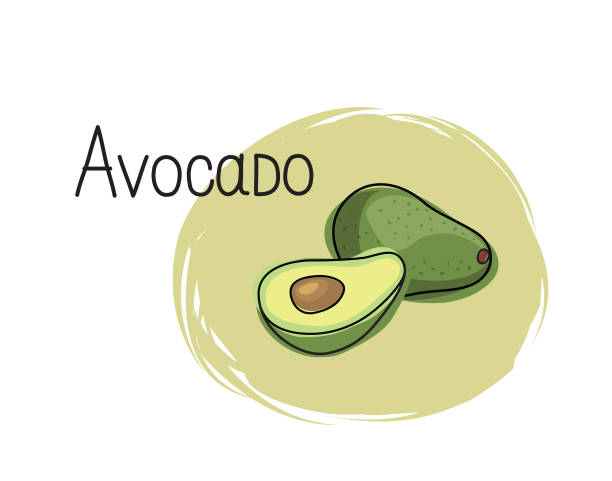 illustrazioni stock, clip art, cartoni animati e icone di tendenza di icona di avocado. avocado a metà e pieno di frutta isolato su sfondo bianco con scritta avocado. vegetale elegante disegnato simbolo avocado - half full apple green fruit