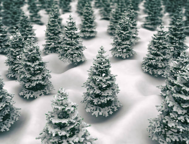 paysage féerique d’hiver avec des sapins et des chutes de neige. concept de salutations de noël - noble fir photos et images de collection