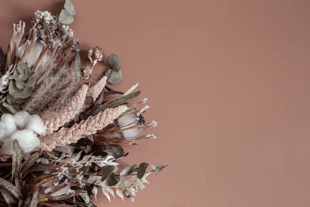 istock Composition with dry wildflowers and cotton copy space. 1314565572