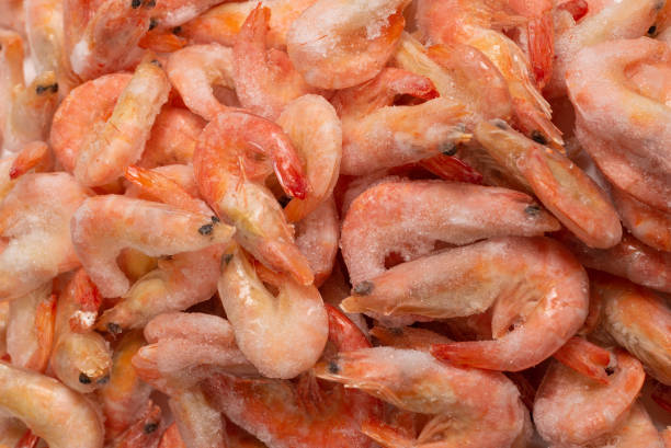 istock Fresh shrimps in ice. Top view. 1314571755