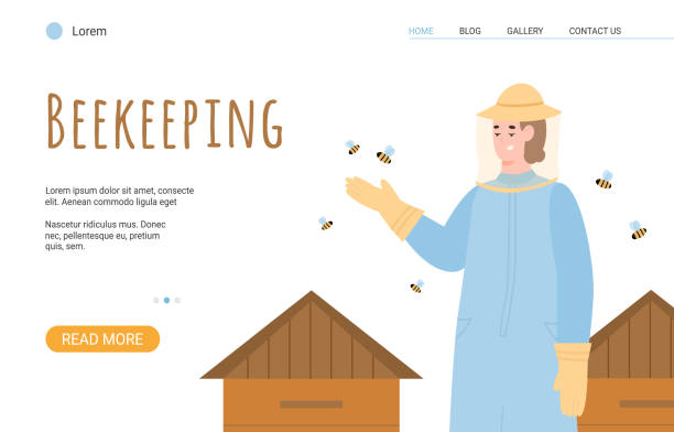 Beekeeping website banner with beekeeper or hiver flat vector illustration. Beekeeping website banner template with cartoon character of beekeeper or hiver in apiary, flat vector illustration. Beekeeping and apiculture occupation. hiver stock illustrations