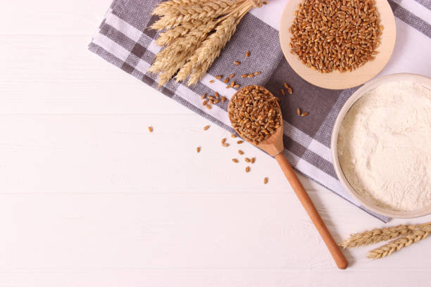 istock spikelets of wheat on a colored background top view. 1314576318