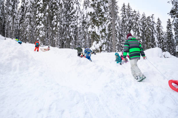 istock People enjoying on snowy landscape 1314577159