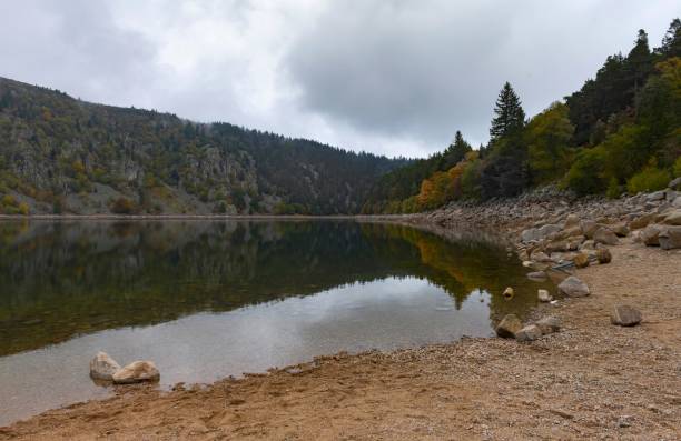 лак блан в горах вогес, франция - white lake стоковые фото и изображения