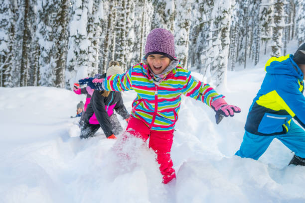istock Children playing in snowy landscape 1314579135
