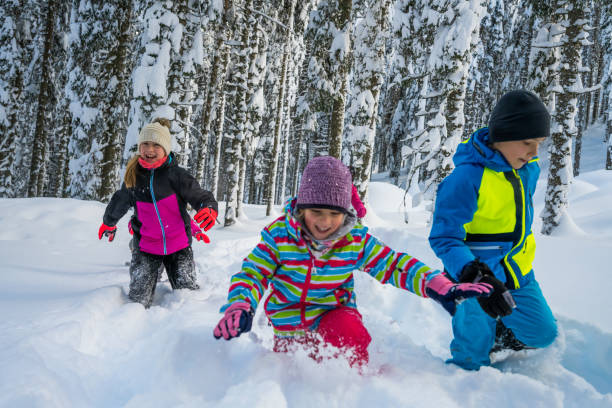 istock Children playing in snowy landscape 1314579355
