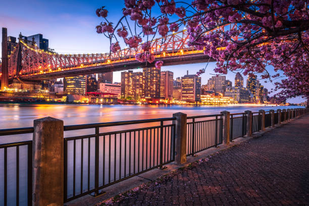istock Queensboro Bridge and Midtown Manhattan 1314580728