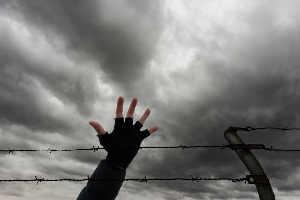 istock Open hand of a man behind a barbed wire 1314581325