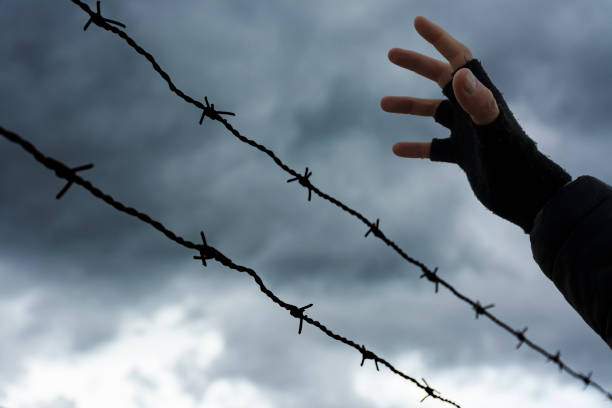 istock Open hand of a man behind a barbed wire 1314581353