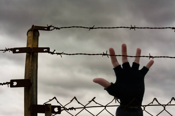 istock Open hand of a man behind a barbed wire 1314581386
