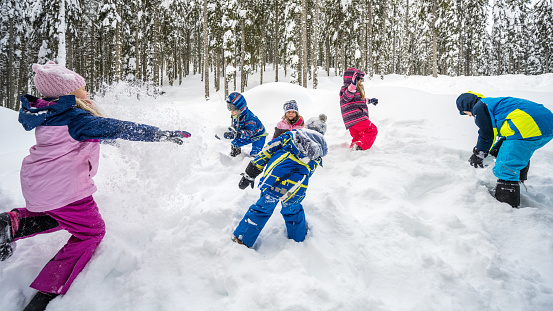 Boys and girls playing in snowy landscape during winter.
