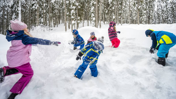 Children playing in snow stock photo