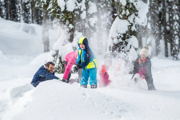 istock Family playing in snow 1314584425