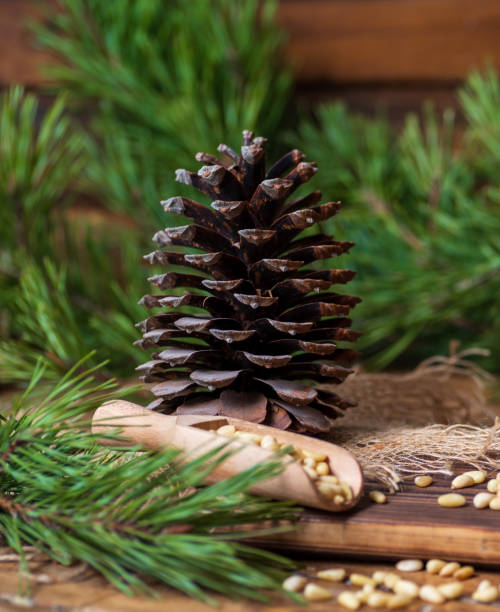 istock Pine cone on a board with pine nuts. Pine branches with green needles lie around on the table. 1314586053