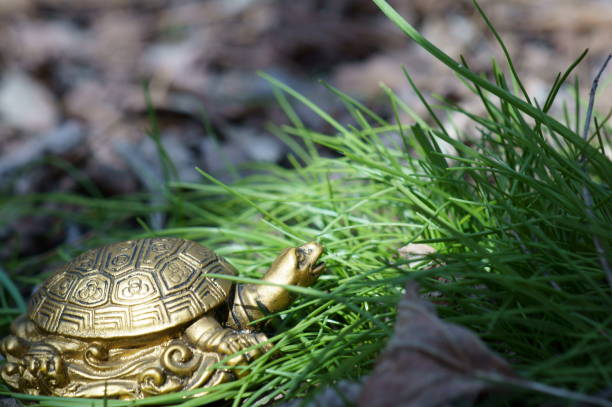 istock A turtle figurine in the green grass. 1314587436