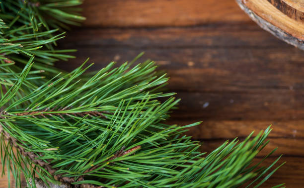 istock Pine green branch with long needles on a brown wooden table, top view. 1314588246