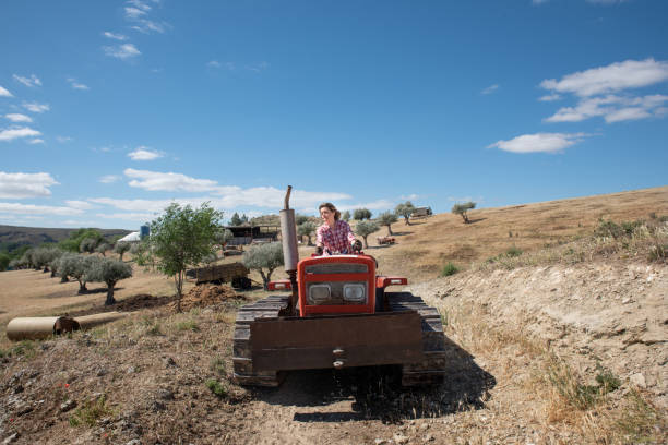 Mature woman farmer driving a tractor on a sunny day with a field background