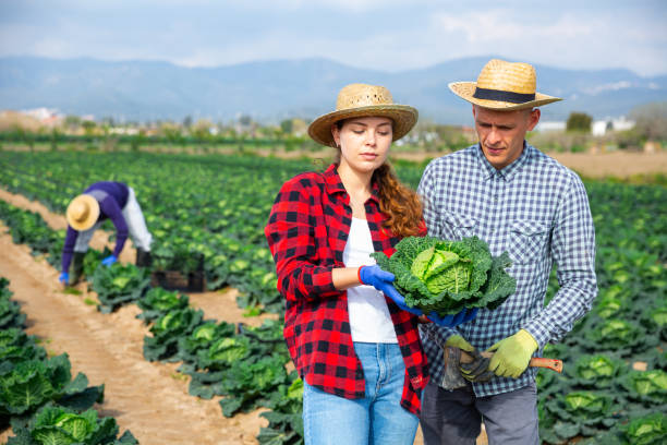 istock Two farmers talking among themselves during a break in work on field 1314590504