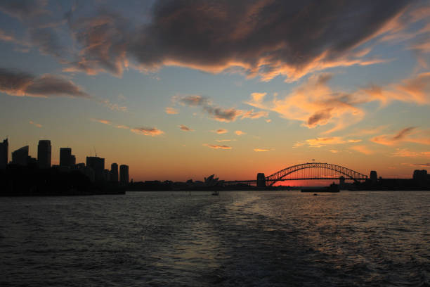 istock Skyline of Sydney at sunset. 1314591646