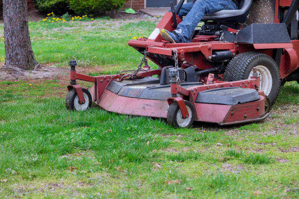 istock Man ride-on with lawnmower mows green grass 1314593170