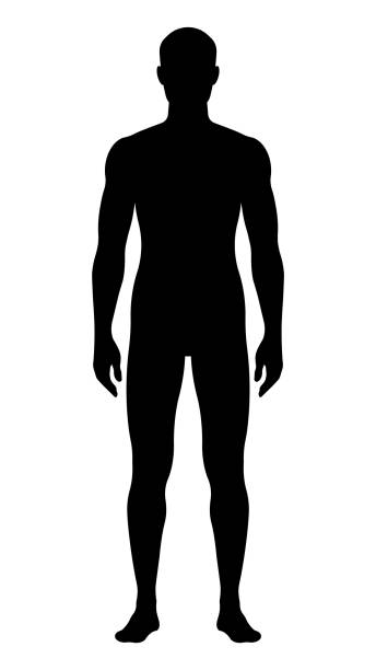 ilustraciones, imágenes clip art, dibujos animados e iconos de stock de silueta de hombre de pie. forma negra sólida del cuerpo humano. - un solo hombre