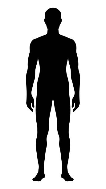 Man silhouette standing. Solid black shape of human body. Man silhouette standing. Solid black shape of human body. Slim male body, front view. Modern perfect vector. one man only stock illustrations