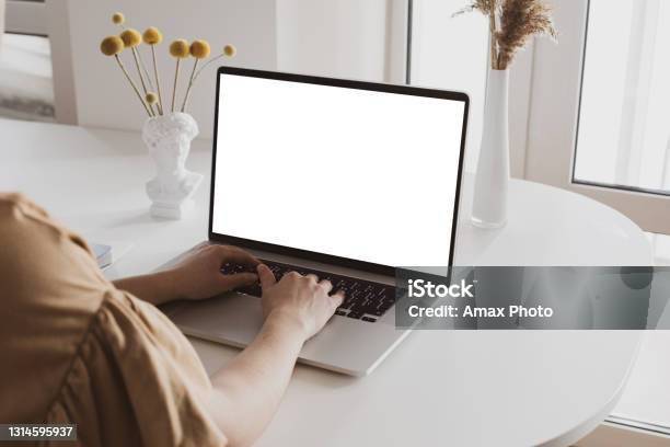 Covid19 Working From Home Concept Stock Photo - Download Image Now - Template, Laptop, Computer Monitor