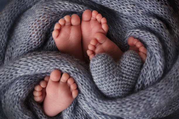 voeten van drie pasgeboren baby's in een zachte deken. hart in de benen van pasgeboren drieling. studiofotografie. - eeneiige tweeling stockfoto's en -beelden